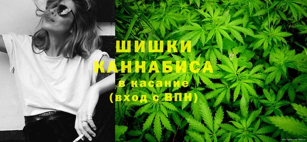твердый Алзамай