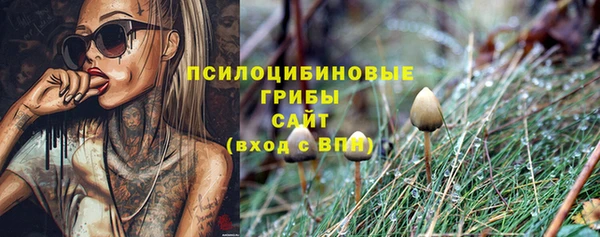 твердый Алзамай