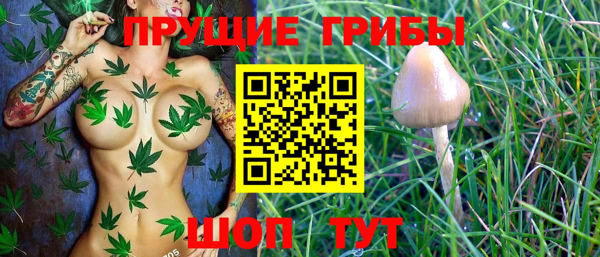 Кимры  купить наркотики цена  Вход с VPN  Галлюциногенные грибы Magic Shrooms 