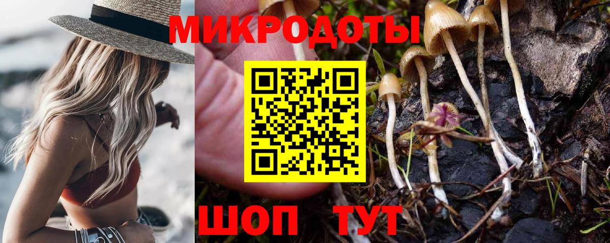 Псилоцибиновые грибы Magic Shrooms Кимры